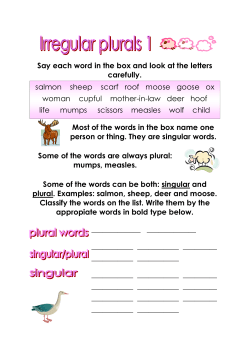 Say each word in the box and look at the letters carefully.