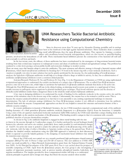 HPC@UNM Newsletter features the metallo-b