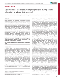 Opt2 mediates the exposure of phospholipids during cellular