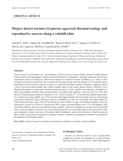 Mojave desert tortoise (Gopherus agassizii) thermal ecology
