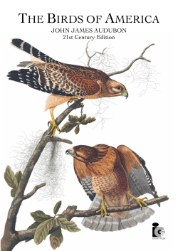 the birds of america