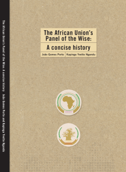 The African Union`s Panel of the Wise: A concise history
