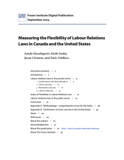Measuring the Flexibility of Labour Relations Laws in