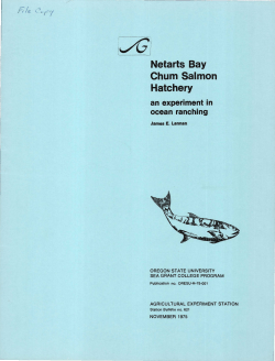 Netarts Bay Chum Salmon Hatchery