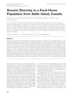 Genetic Diversity in a Feral Horse Population