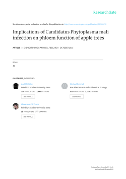 Implications of Candidatus Phytoplasma mali infection on phloem