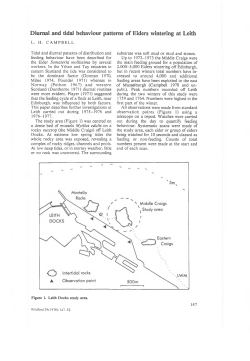 Diurnal and tidal behaviour patterns of Eiders wintering at