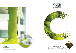 Scandinavian Natural Moss!