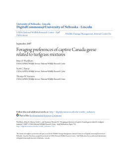 Foraging preferences of captive Canada geese related to turfgrass