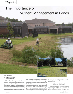 The Importance of Nutrient Management in Ponds