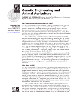 Genetic Engineering and Animal Agriculture
