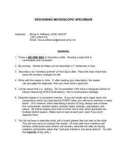 describing microscopic specimens