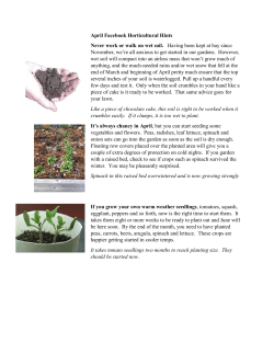 April Facebook Horticultural Hints Never work or walk on wet soil