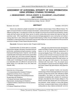 assessment of acrosomal integrity of dog spermatozoa