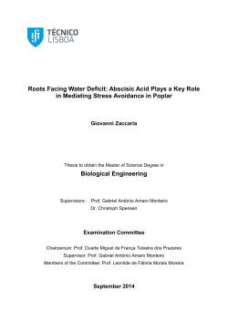 Roots Facing Water Deficit: Abscisic Acid Plays a
