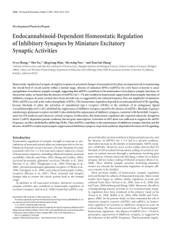 Endocannabinoid-Dependent Homeostatic Regulation of Inhibitory