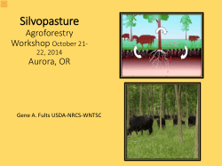 Silvopasture
