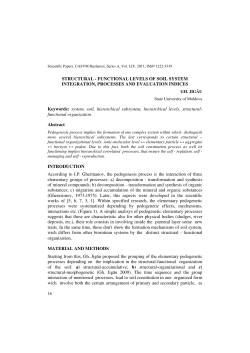 STRUCTURAL - FUNCTIONAL LEVELS OF SOIL SYSTEM
