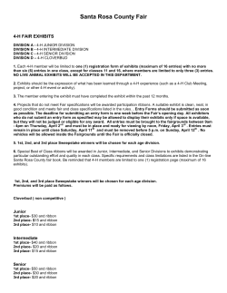 Santa Rosa County Fair 4