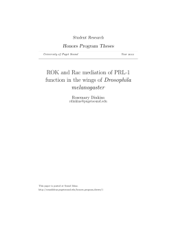 ROK and Rac mediation of PRL-1 function in the