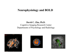Part II: Neurophysiology and BOLD
