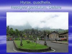 Hyrax,quadhelix,headgear, Delaire