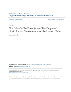 of the Three Sisters: The Origins of Agriculture in Mesoamerica and