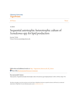 Sequential autotrophic-heterotrophic culture of