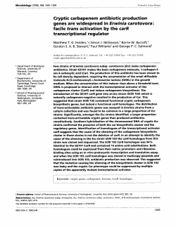 Cryptic carbapenem antibiotic production genes are