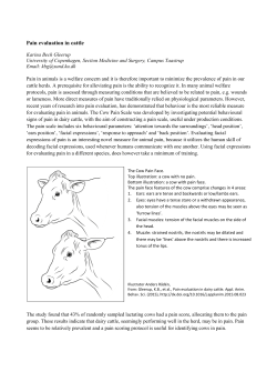 Karina Gleerup - Pain evaluation in cattle
