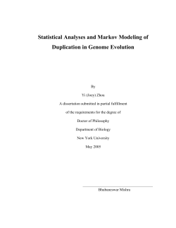 Statistical Analyses and Markov Modeling of Duplication in Genome