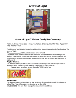 Arrow of Light - The Idea Door