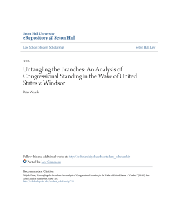 Untangling the Branches: An Analysis of