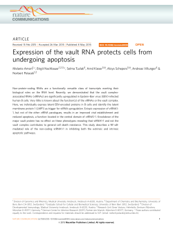 Expression of the vault RNA protects cells from