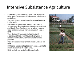 Intensive Subsistence Agriculture