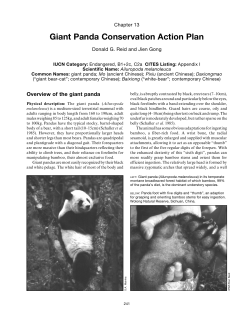Giant Panda Conservation Action Plan
