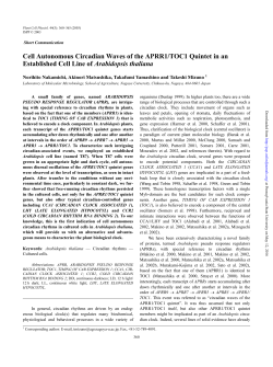 Cell Autonomous Circadian Waves of the APRR1/TOC1
