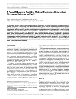 A Rapid Ribosome Profiling Method Elucidates Chloroplast