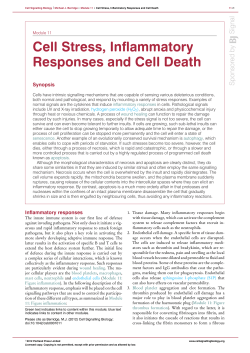 Cell Stress, Inflammatory Responses and Cell Death