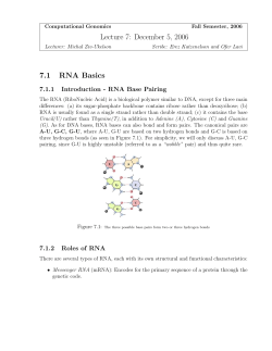 Lecture 7: December 5, 2006 7.1 RNA Basics
