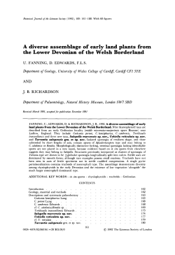 A diverse assemblage of early land plants from
