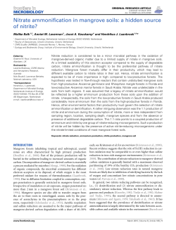 Nitrate ammonification in mangrove soils