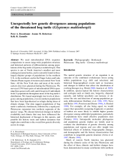 Unexpectedly low genetic divergences among