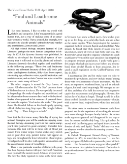 Foul and Loathsome Animals