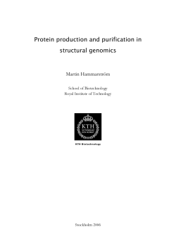 Protein production and purification in structural genomics