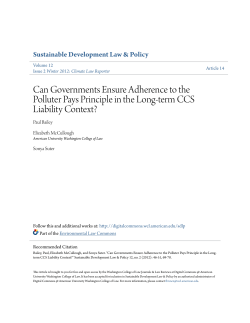 Can Governments Ensure Adherence to the Polluter Pays Principle