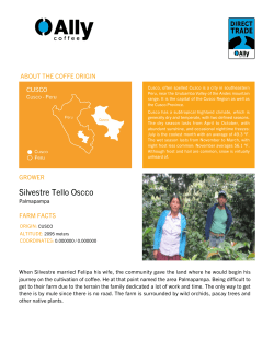 PDF - Ally Coffee Merchants