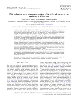 DNA replication stress induces deregulation of the cell cycle events