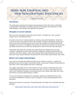 Mesh Skin Grafting and New Skin Grafting Efficiencies