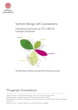 Synthetic Biology with Cyanobacteria Thiyagarajan Gnanasekaran